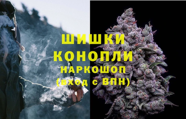 дурь Калининец