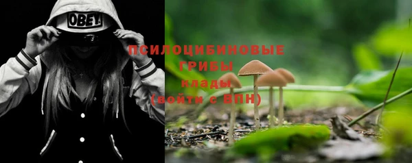 первитин Заводоуковск