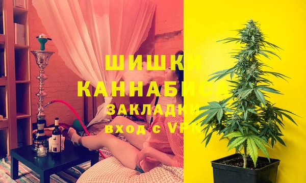 стаф Заволжск