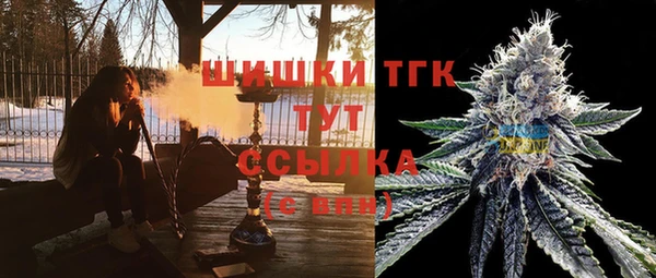 стаф Заволжск