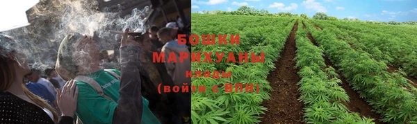 первитин Заводоуковск
