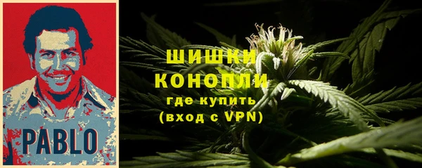 стаф Заволжск