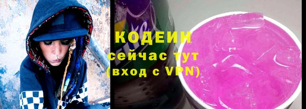 a pvp Ельня