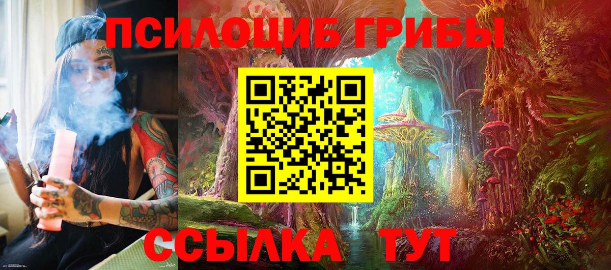 Галлюциногенные грибы MAGIC MUSHROOMS  где продают   Гуково  Псилоцибиновые грибы мицелий 