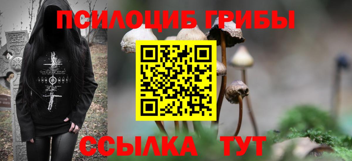 Гуково  Галлюциногенные грибы ЛСД  Вход с VPN 